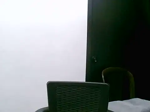 VittoriaTaylor Live Chatraum