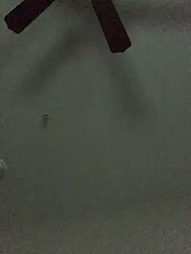 theprettysoles Cameră chat live