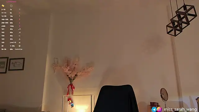חדר צ'אט בשידור חי של sarah_wang
