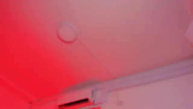 Chat ao vivo de bonnieAn