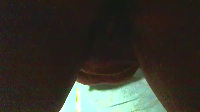 _GENEXYS_  – live chatrum