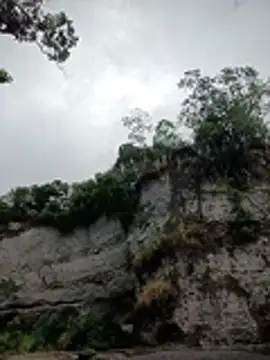 Bilik Sembang Langsung -Nicol