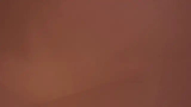 soidai_miiu Live Chatraum