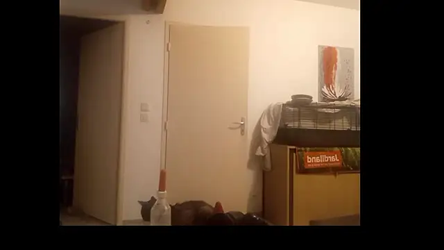 Živá chatovací místnost Mastersanges