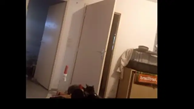Mastersanges élő chatszobája