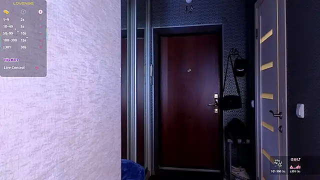 חדר צ'אט בשידור חי של Hisoka_akerley