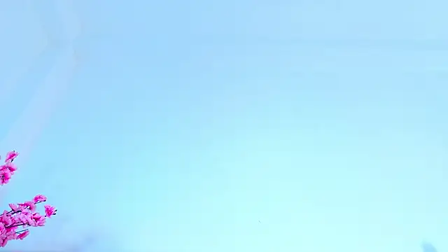 YesyHills Cameră chat live