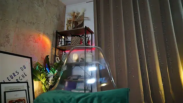 חדר צ'אט בשידור חי של IngAdn