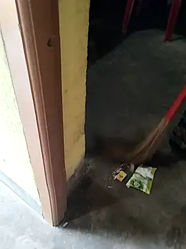 Živá chatovací místnost Lakhsmi