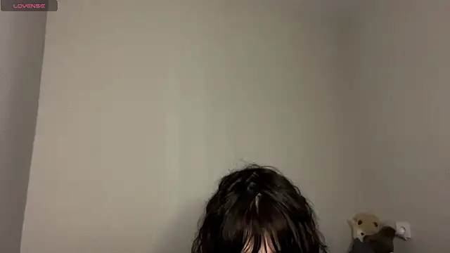 SibleyBurner Cameră chat live