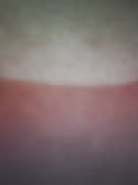 Noghtygirl Live Chatraum