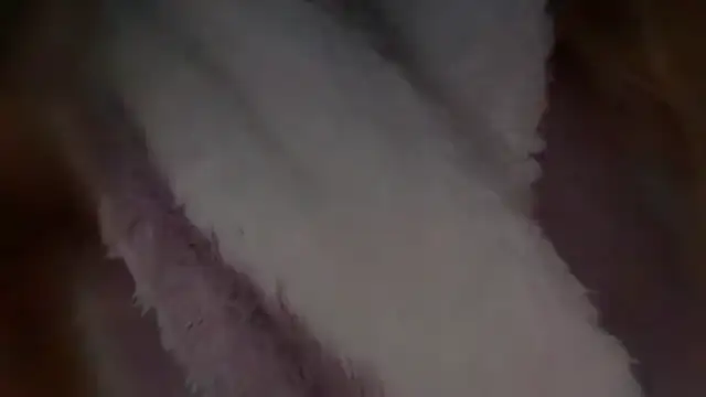 lilastorm7 чат на живо
