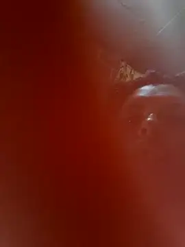 Živá chatovací místnost diablitaxhot