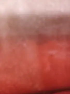 Živá chatovací místnost CamilaJohnston