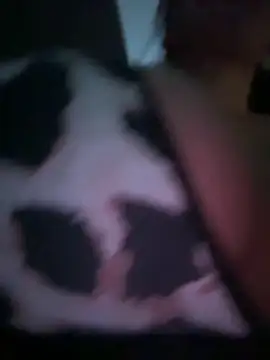 ultimate_PAWGのライブチャットルーム