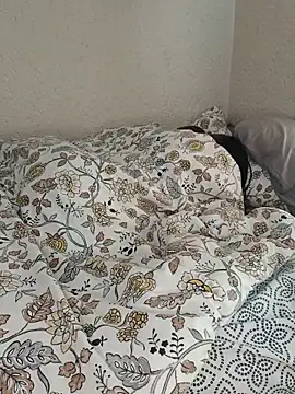Bootylioustits Live Chatraum
