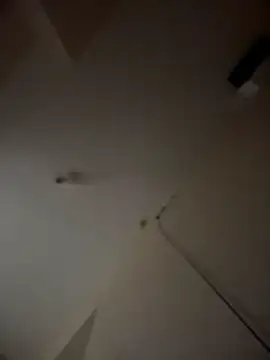 MeekyRich Ruang Obrolan Langsung