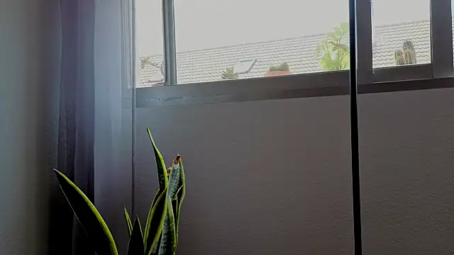 Chat ao vivo de agustinalatina