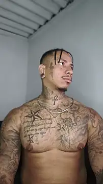 David_tatto1 Cameră chat live