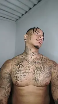 David_tatto1 Cameră chat live