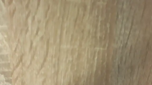 NoFace_Model Cameră chat live