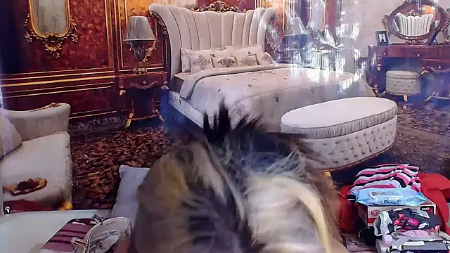 Živá chatovací místnost IndiaSexyStripper4u