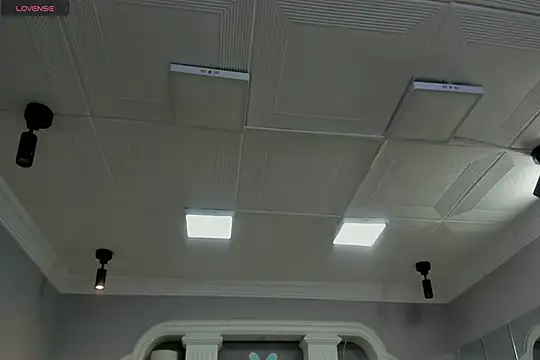 Fernanda_ss 现场聊天室