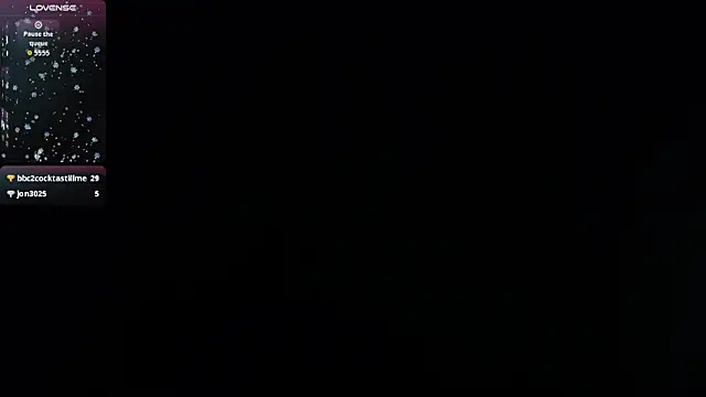channel-rose1 现场聊天室