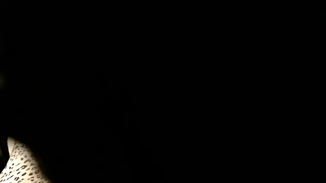 Chat ao vivo de London_Ray