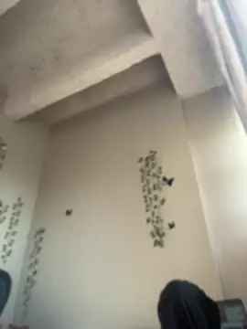 StrawberryXpeach Live chatroom