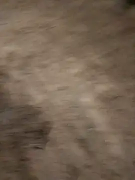 Živá chatovací místnost vea_m