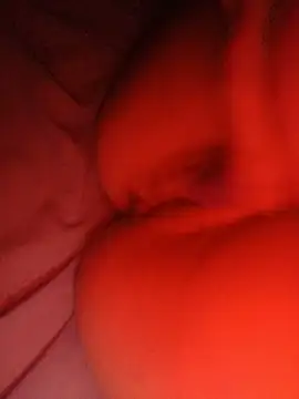Hottiesophie Live Chatraum