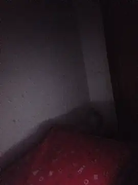 Hottiesophie Cameră chat live