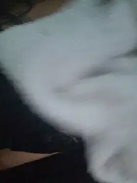 PrincesinhaDeh 실시간 채팅방
