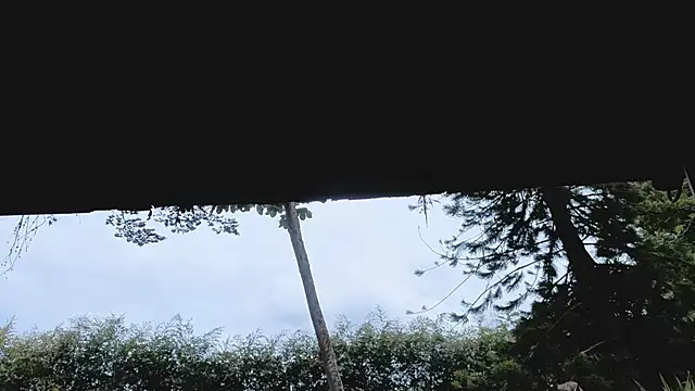 Sala de chat en directo de Angiehuston1