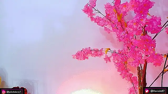 JulietaDavis Live Chatraum