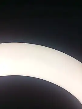 SlBrownCopule 现场聊天室