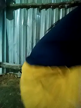 jienrrr Adlı Modelin Canlı Sohbet Odası