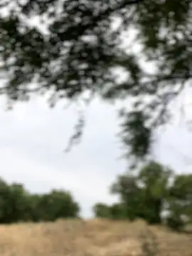 Živá chatovací místnost Ruslana8