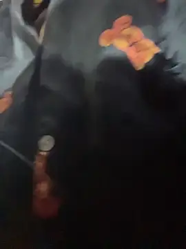 Chat soba uživo modela RosseMelody