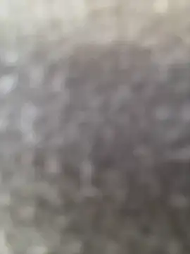 חדר צ'אט בשידור חי של Rouse_07