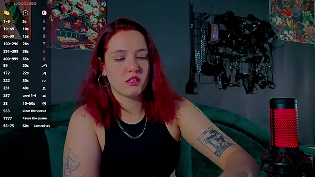 Serve_to_Alexa Cameră chat live