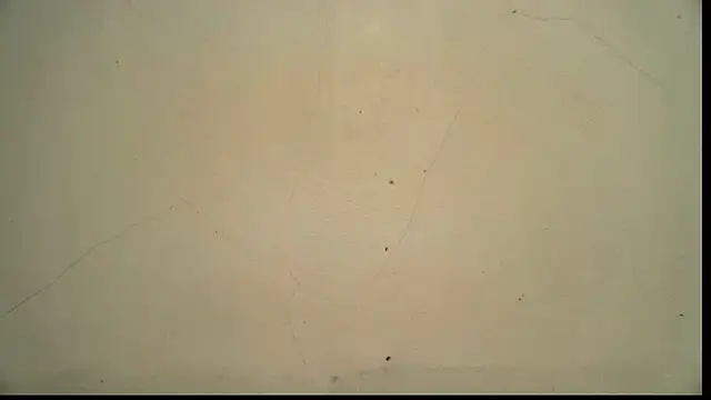 Willbiee's Live Chat Room