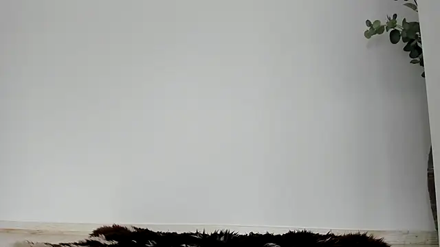 Živá chatovací místnost Cimbelka