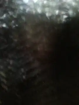 Chat ao vivo de ShawnandDani7074