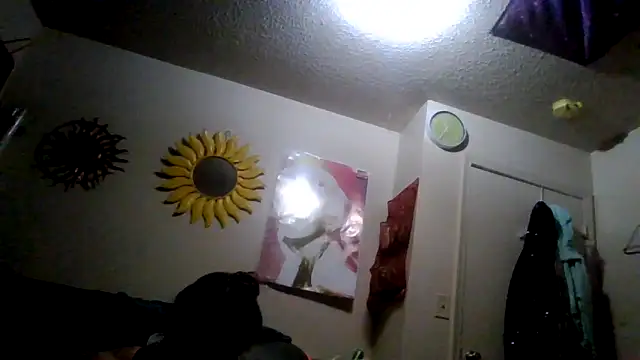 TWiSTYTheTwizted Live Chatraum