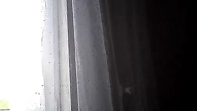 Littlecatme লাইভ চ্যাট রুম