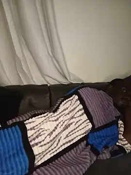 WaiterZim Cameră chat live