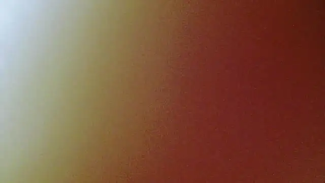 Chat ao vivo de Winnie-01