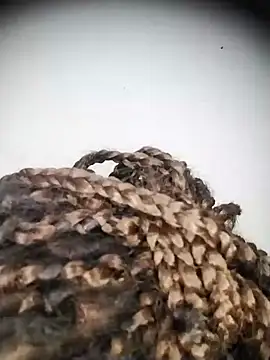 Živá chatovací místnost AmbarSmit